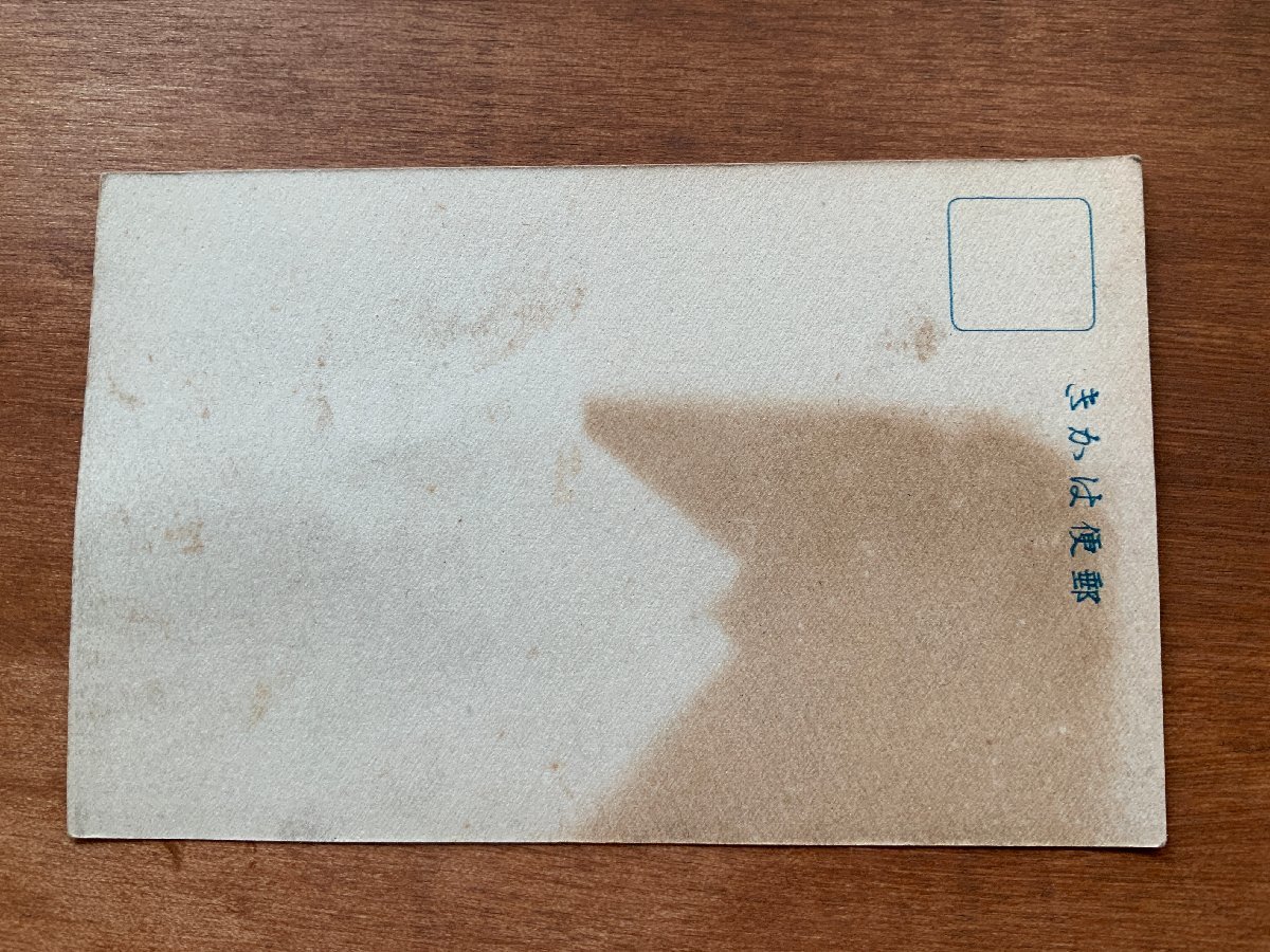 FF-9905 □送料込□ 東京都 大正12年9月1日 帝都大震災惨状 FF-9905 □送料込□ 東京都 大正12年9月1日 帝都大震災惨状