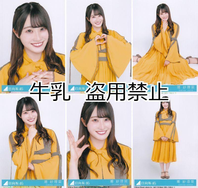 潮紗理菜 生写真 コンプ 日向坂46 ソンナコトナイヨ