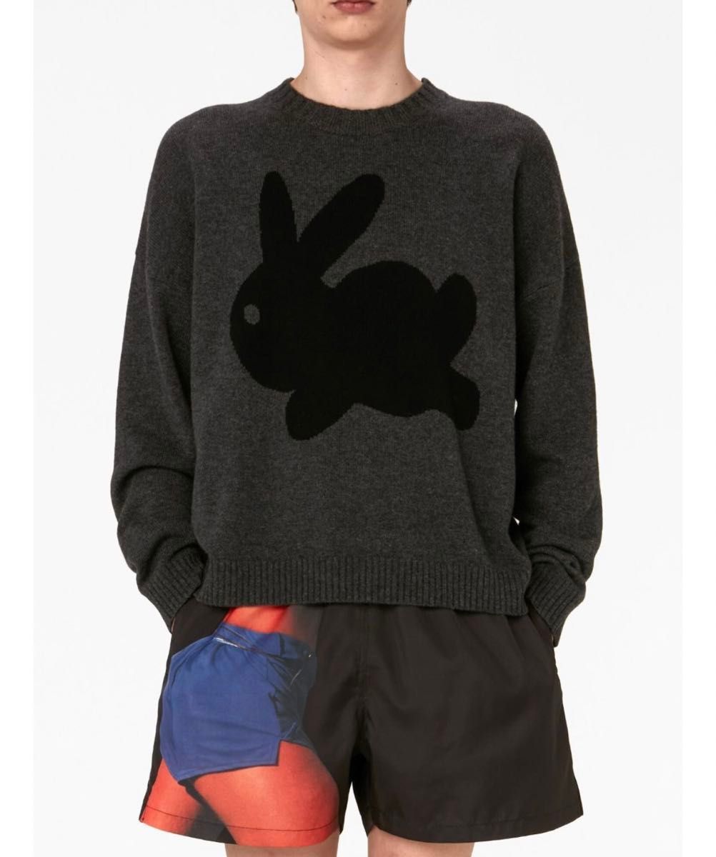 JW Anderson バニーセーター|Yahoo!フリマ(旧PayPayフリマ) JW Anderson バニーセーター|Yahoo!フリマ(旧PayPayフリマ)