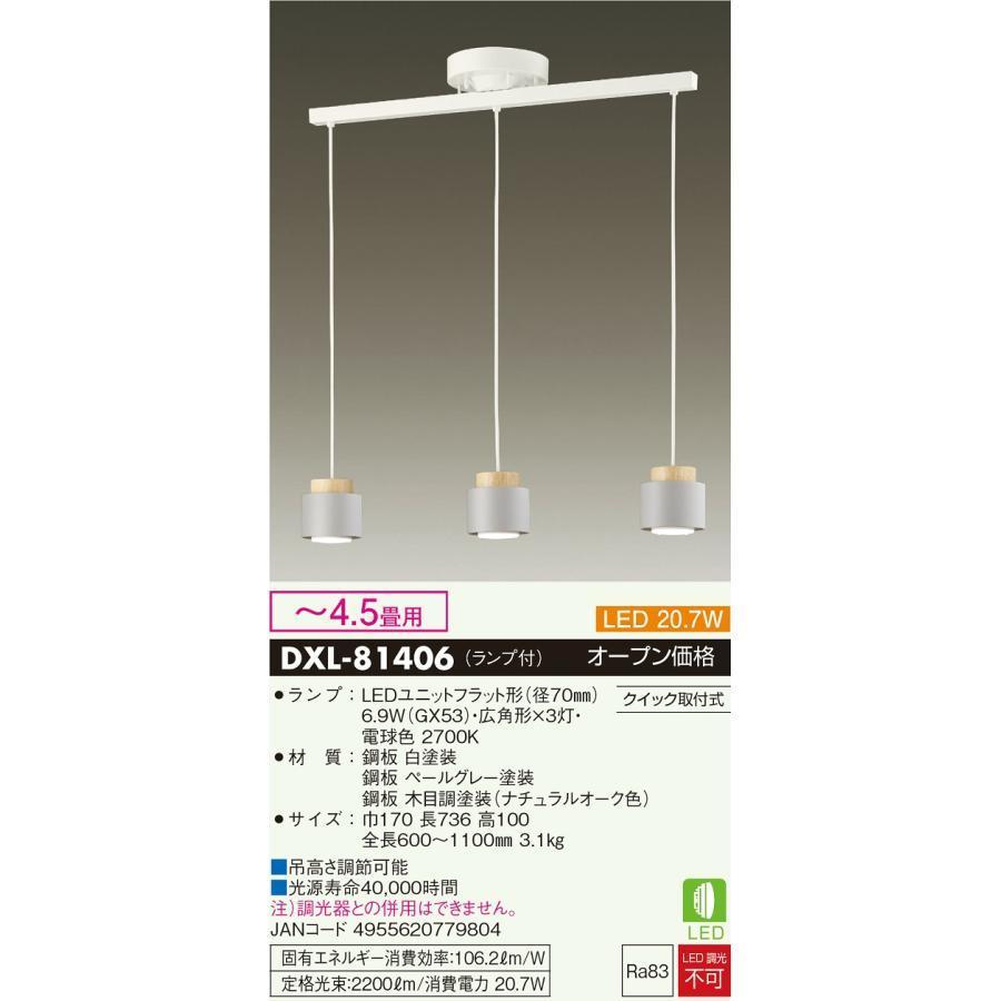 ★未使用品 DAIKO DXL-81406 吊りペンダント 電球色 天井照明_画像2