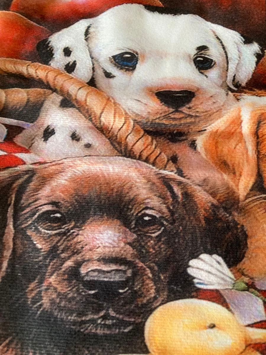 犬柄　クッションカバー　45 × 45センチ　ワンコ　子犬