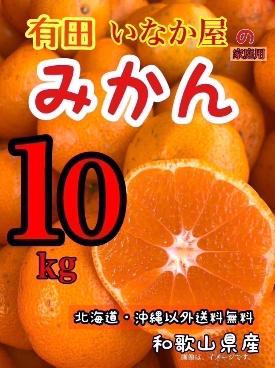 サービス価格　点　早い者勝ち！人気の　いなか屋　みかん10kg 　柑橘　b品　和歌山県産　有田　フルーツ　家庭用　果物　箱込み　高騰中_画像1