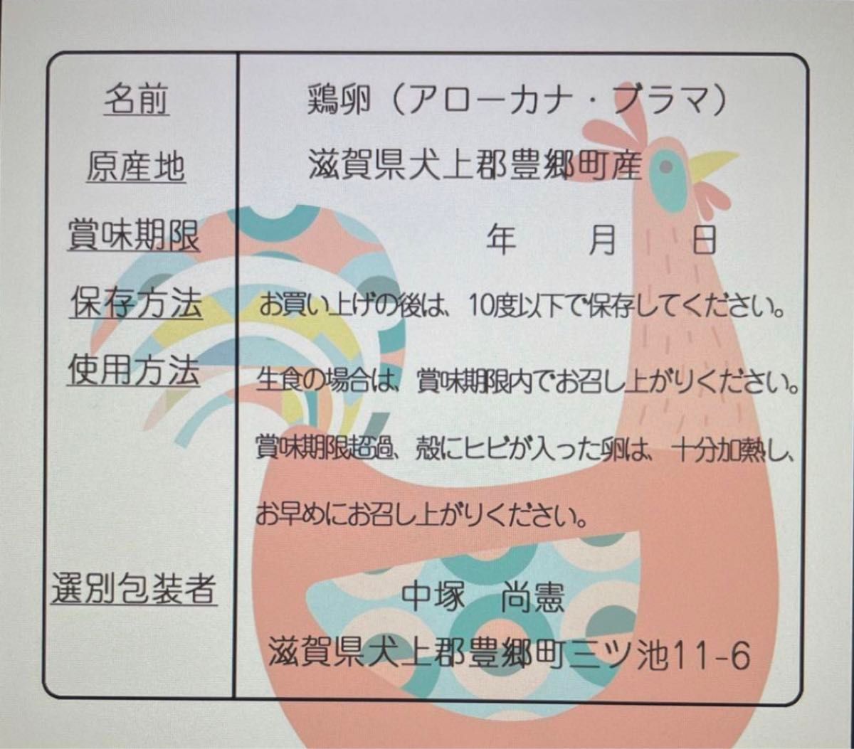 世界最大級ブラマ鶏と濃い味アローカナの食べ比べ5個