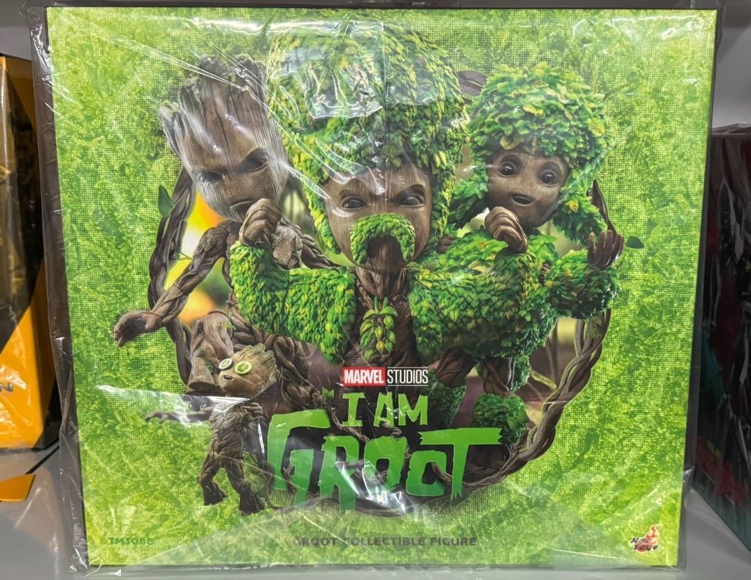  hot toys 1/6 I *am* glue to glue to general.Ver unopened new goods TMS088 Groot Hottoysga-ti apricot *ob* The * Galaxy 