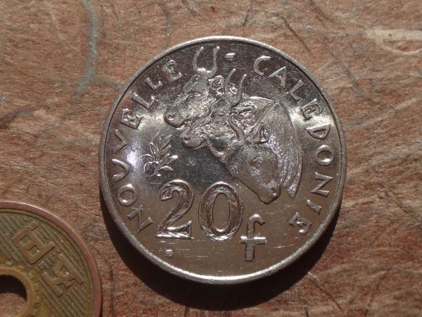 ニューカレドニア　20Francs　ニッケル　2005年　KM#12　(28.5mm, 10.0g)_画像1