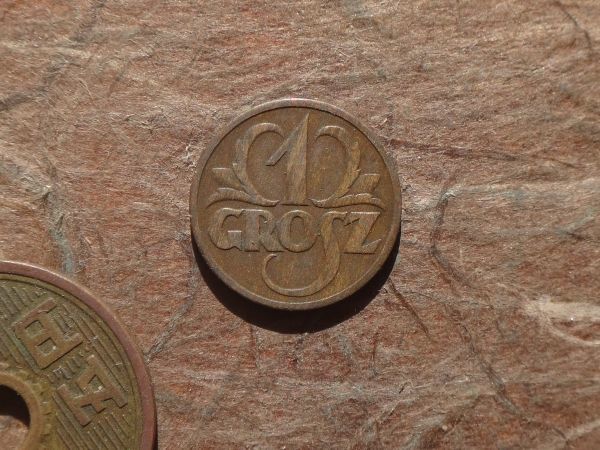 ポーランド　1Grosz　青銅　1930年　KM#8a　(14.8mm, 1.4g)_画像1