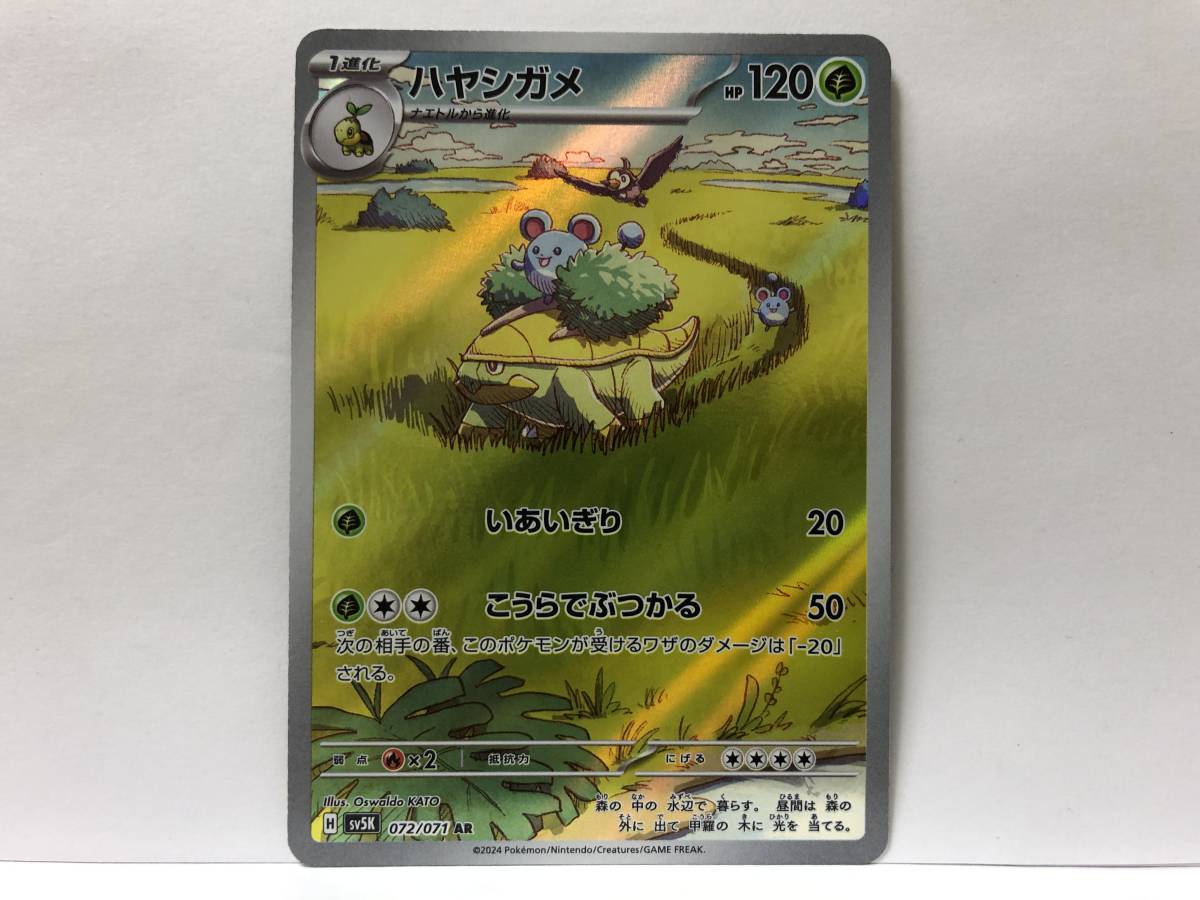 ポケモンカード ハヤシガメ AR ワイルドフォース 新品 他にも出品中 同梱可能_画像1