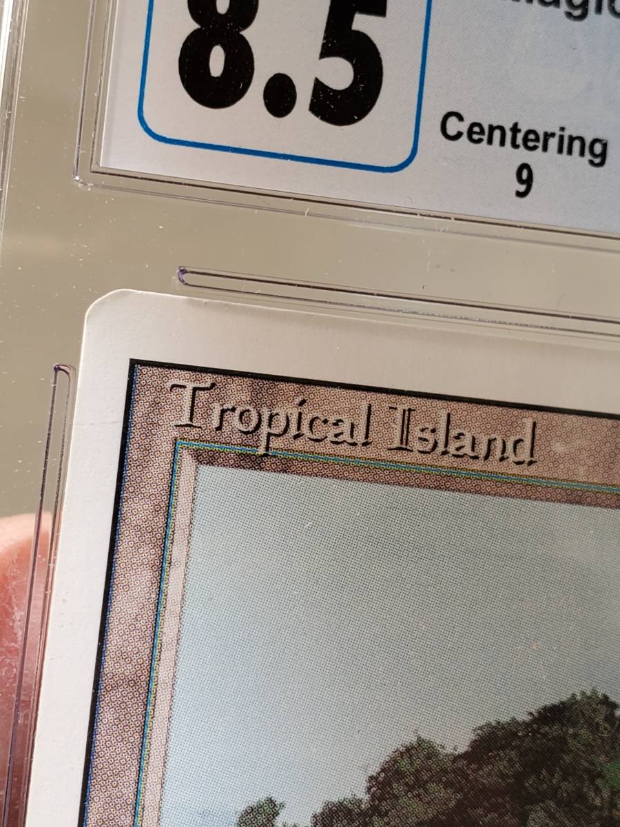 ●MTG● RV Tropical Island(英語 CGC 8.5)_画像4