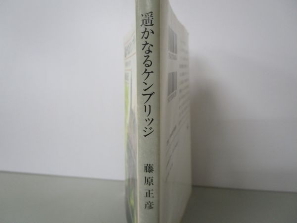 遥かなるケンブリッジ―一数学者のイギリス (新潮文庫) y0601-bb2-ba253130_画像2