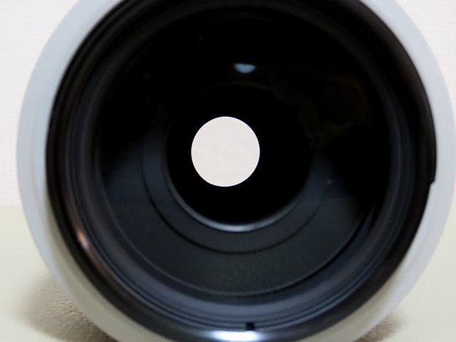 CANON EF70-300mmF4.5-5.6L IS USM望遠ズームレンズ　フルサイズ対応_画像5