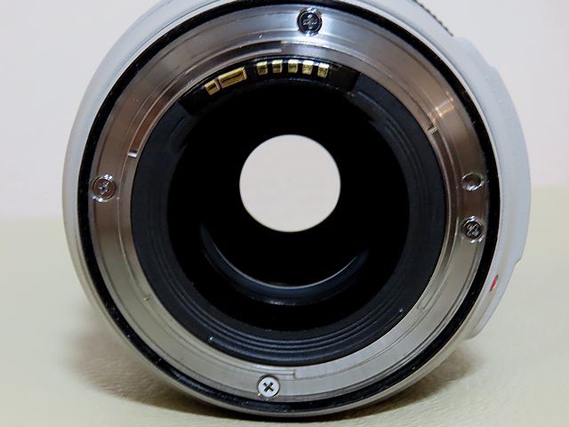CANON EF70-300mmF4.5-5.6L IS USM望遠ズームレンズ　フルサイズ対応_画像6