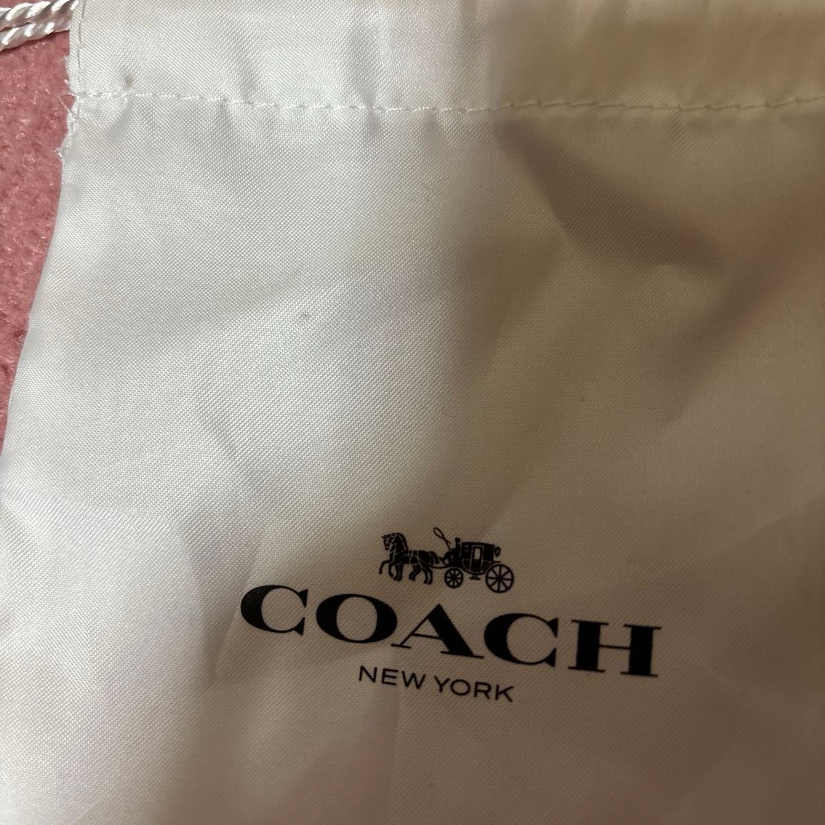コーチ　保存袋