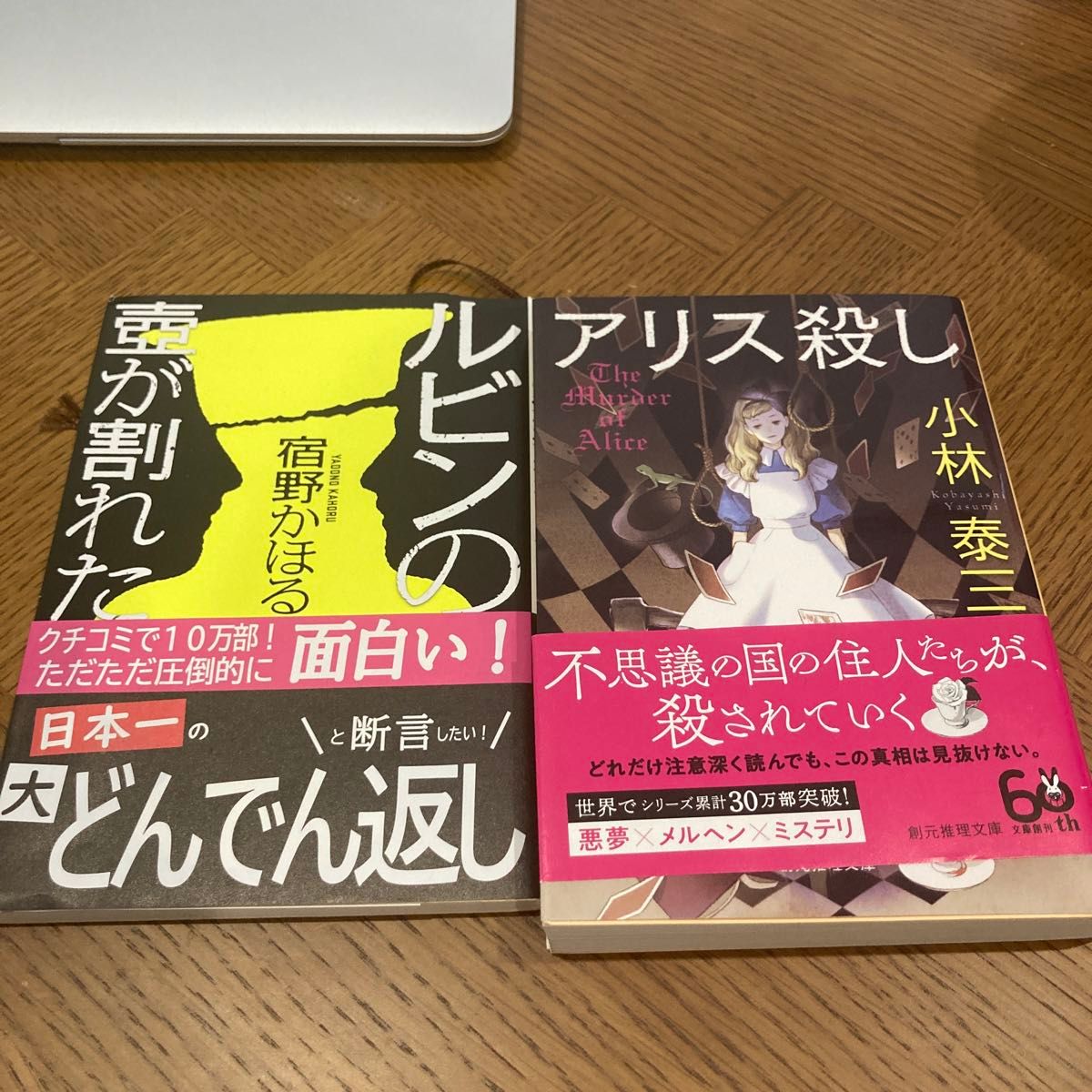 アリス殺し （創元推理文庫　Ｍこ５－４） 小林泰三／著　ルビンの壺が割れた （新潮文庫　や－８１－１） 宿野かほる／著