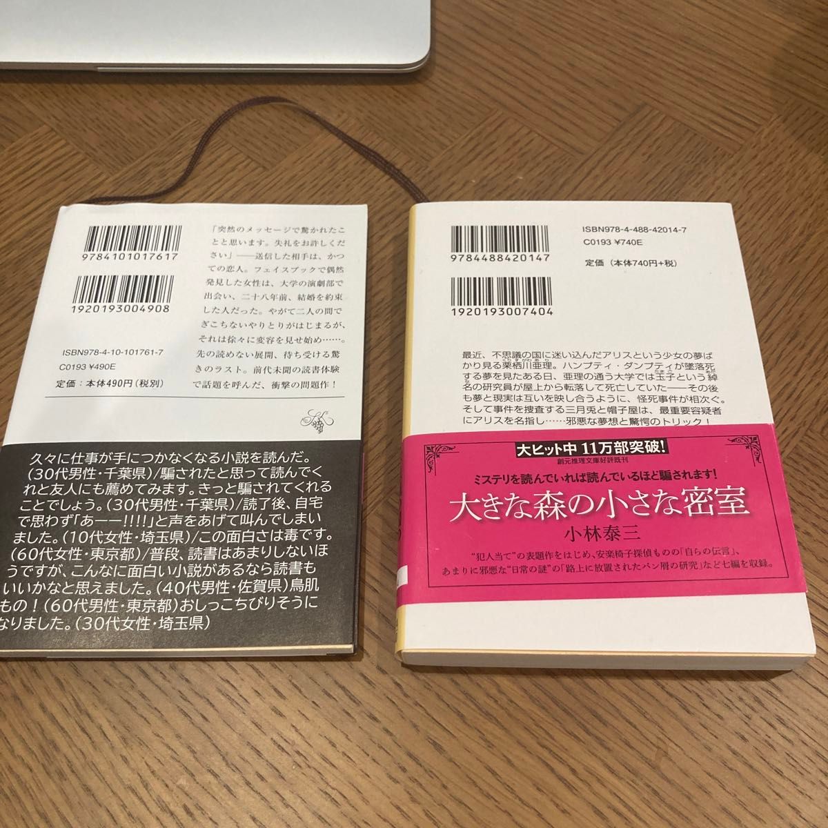 アリス殺し （創元推理文庫　Ｍこ５－４） 小林泰三／著　ルビンの壺が割れた （新潮文庫　や－８１－１） 宿野かほる／著