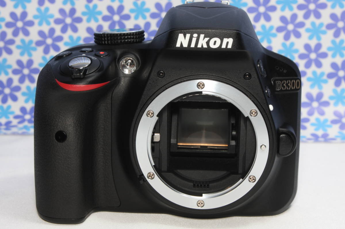 極上美品 ニコン Nikon D3300 手振れ補正 高画質 動画撮影 初心者 
