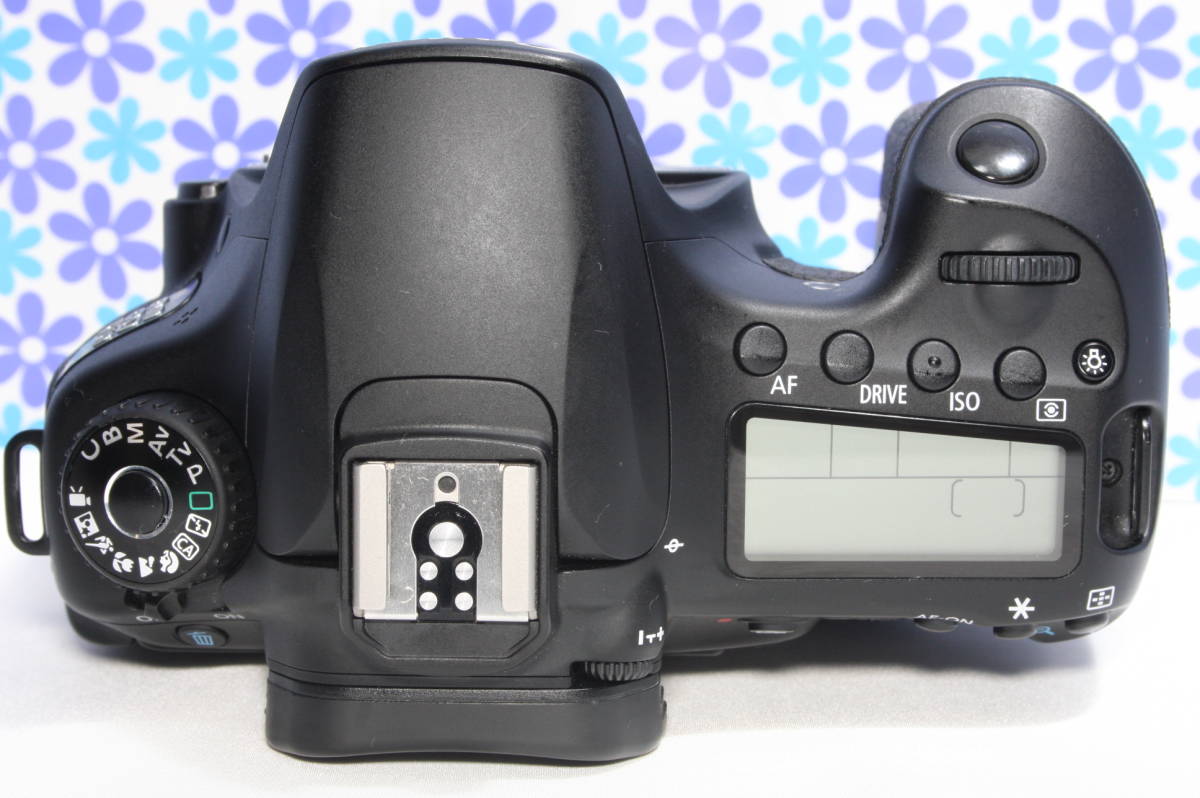 極上美品 Canon キャノン EOS 60D 高画質 高性能 フルHD動画 初心者