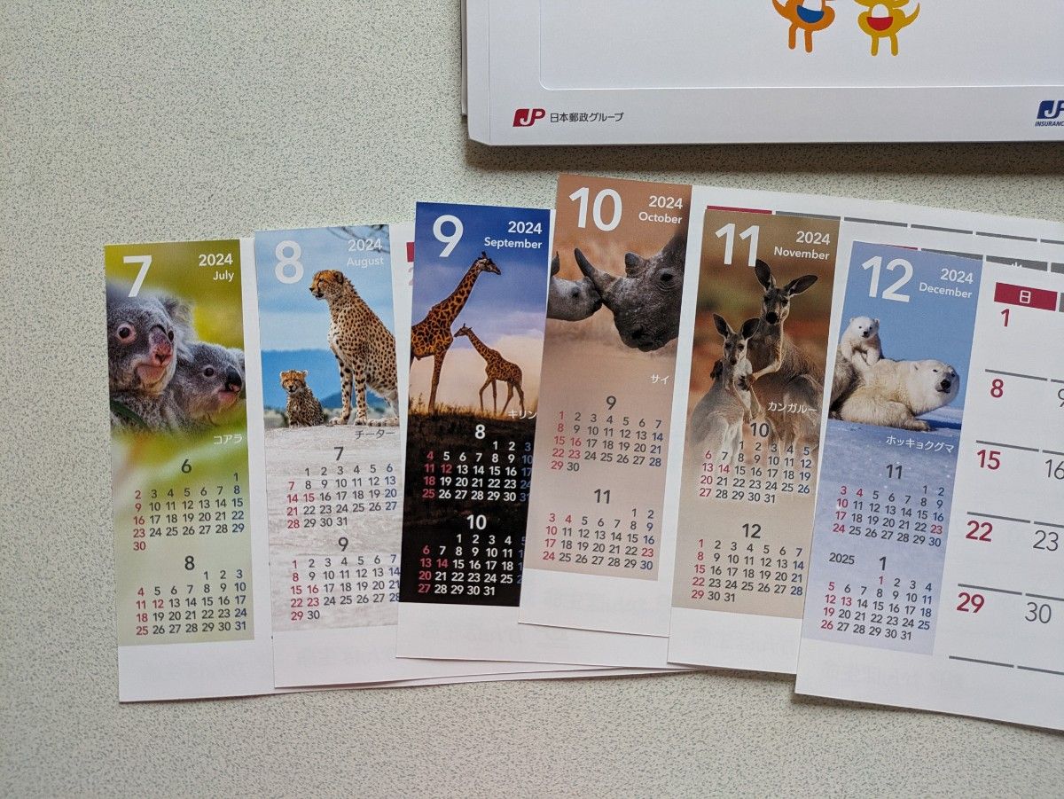 卓上カレンダー　2024   かんぽ生命　動物
