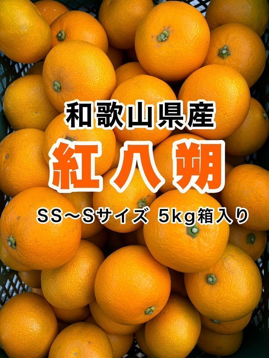 和歌山県産　紅八朔　小玉　5kg箱いっぱい!! そのままでもお菓子作りにも♪_画像1