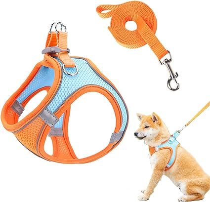 Tengcong cat cat for Harness harness cat ... cat . cat . dog small size dog walk cat harness cat Lead cat the best night reflection size adjustment possible ( blue, M)