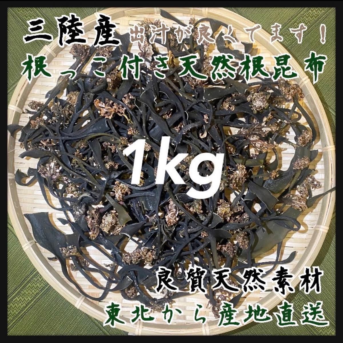 【根付き昆布・天然根昆布】大容量1kg 天然素材　海藻　乾燥昆布　こんぶ　わかめ　海藻　おすすめ　 献上　良質　岩手県産