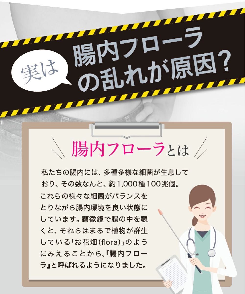 2袋60日分　腸活善菌α 乳酸菌 機能性表示食品　ダイエットサプリ ビフィズス菌 オリゴ糖 腸内 フローラ 健康食品サプリメント