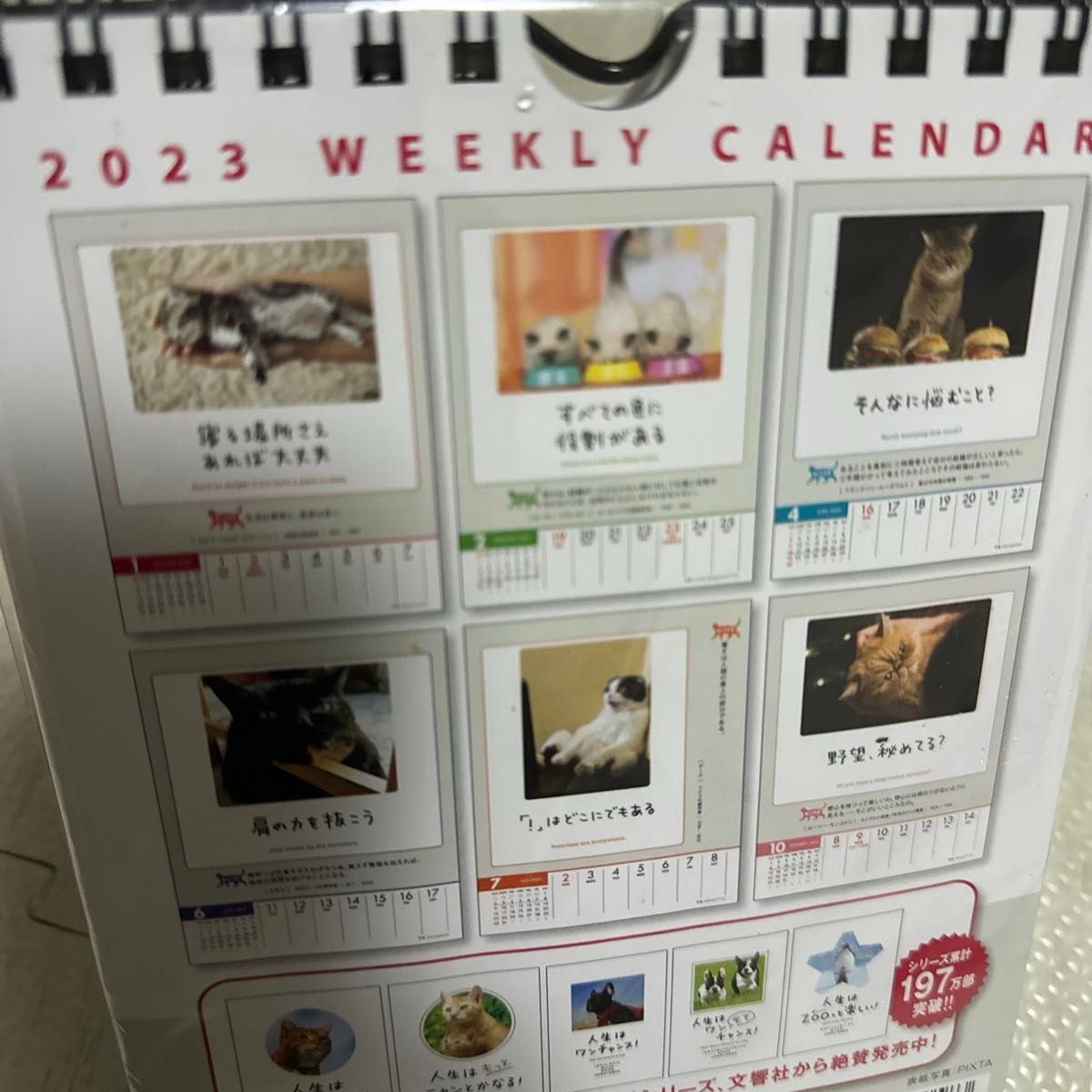 【2023年度版】人生はニャンとかなる　卓上カレンダー