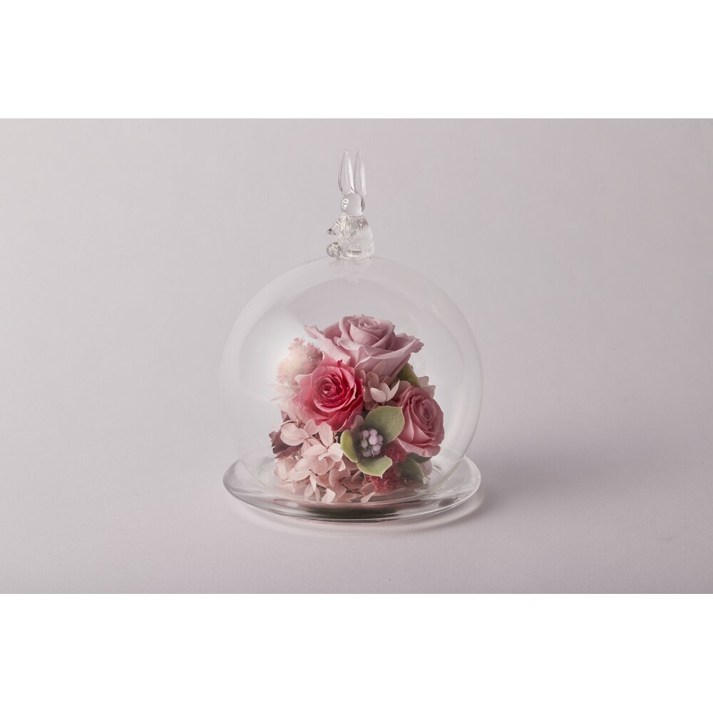 * pink * small world glass dome case preserved flower glass dome flower arrangement Blizzard flower 