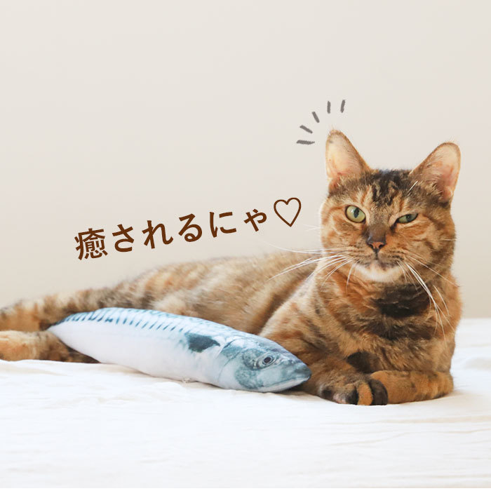 * C type * 40cm * cwj09 cat toy cat toy fish one person playing cat .. soft toy Dakimakura .......... real . fish ..