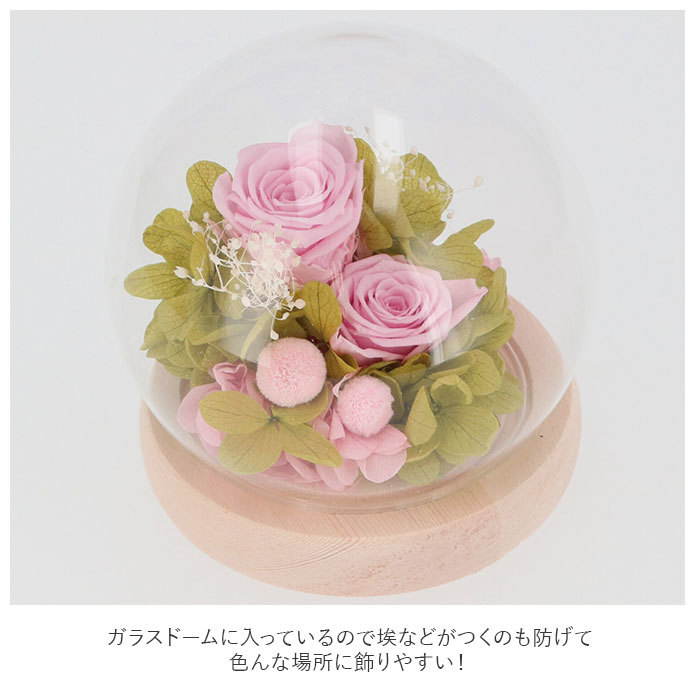 * B11835. orange preserved flower glass dome mail order flower arrangement stylish Mother's Day birthday memory day gift present 