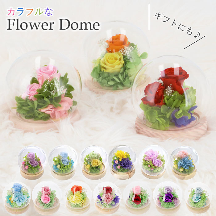 * B11835. orange preserved flower glass dome mail order flower arrangement stylish Mother's Day birthday memory day gift present 