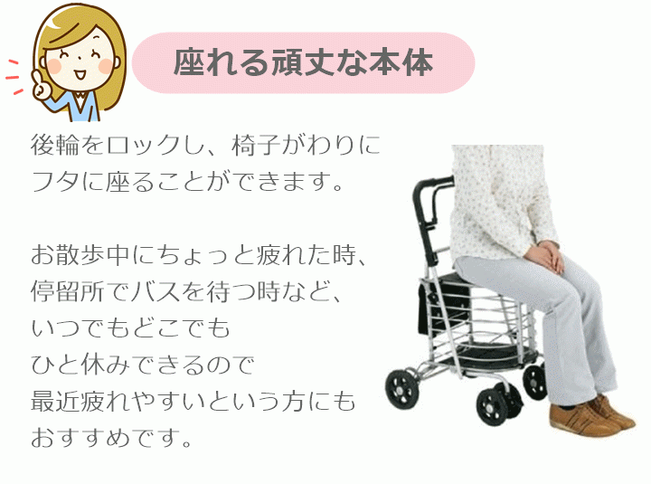 【平日15時まで即日出荷】ハーモニーAL 保冷バッグ付き【手押し車 シルバーカー キャリー 座れる 保冷 カート 保冷バッグ 島製作所】_画像8