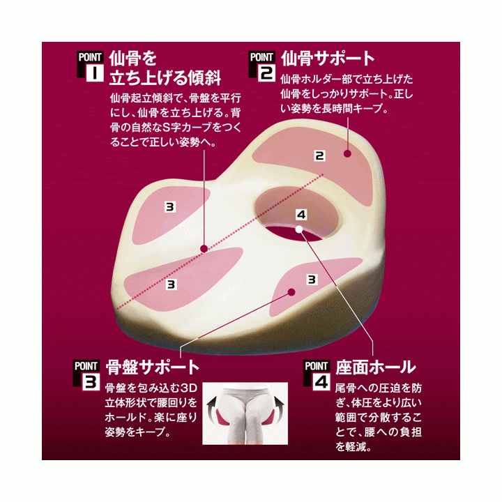 【平日15時まで即日出荷】仙骨クッション 仙律【猫背矯正 姿勢矯正 猫背矯正クッション 骨盤サポート 骨盤クッション】_画像3