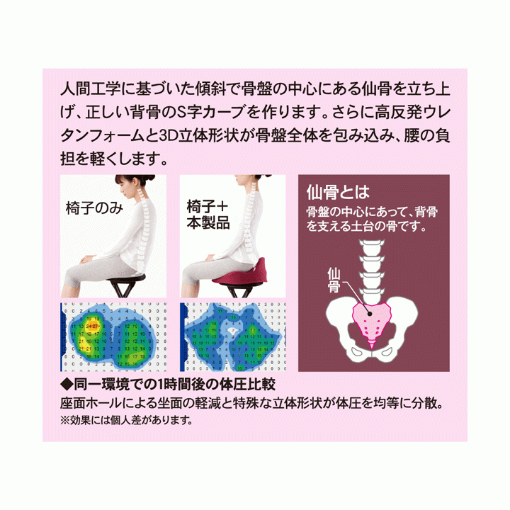 【平日15時まで即日出荷】仙骨クッション 仙律【猫背矯正 姿勢矯正 猫背矯正クッション 骨盤サポート 骨盤クッション】_画像4