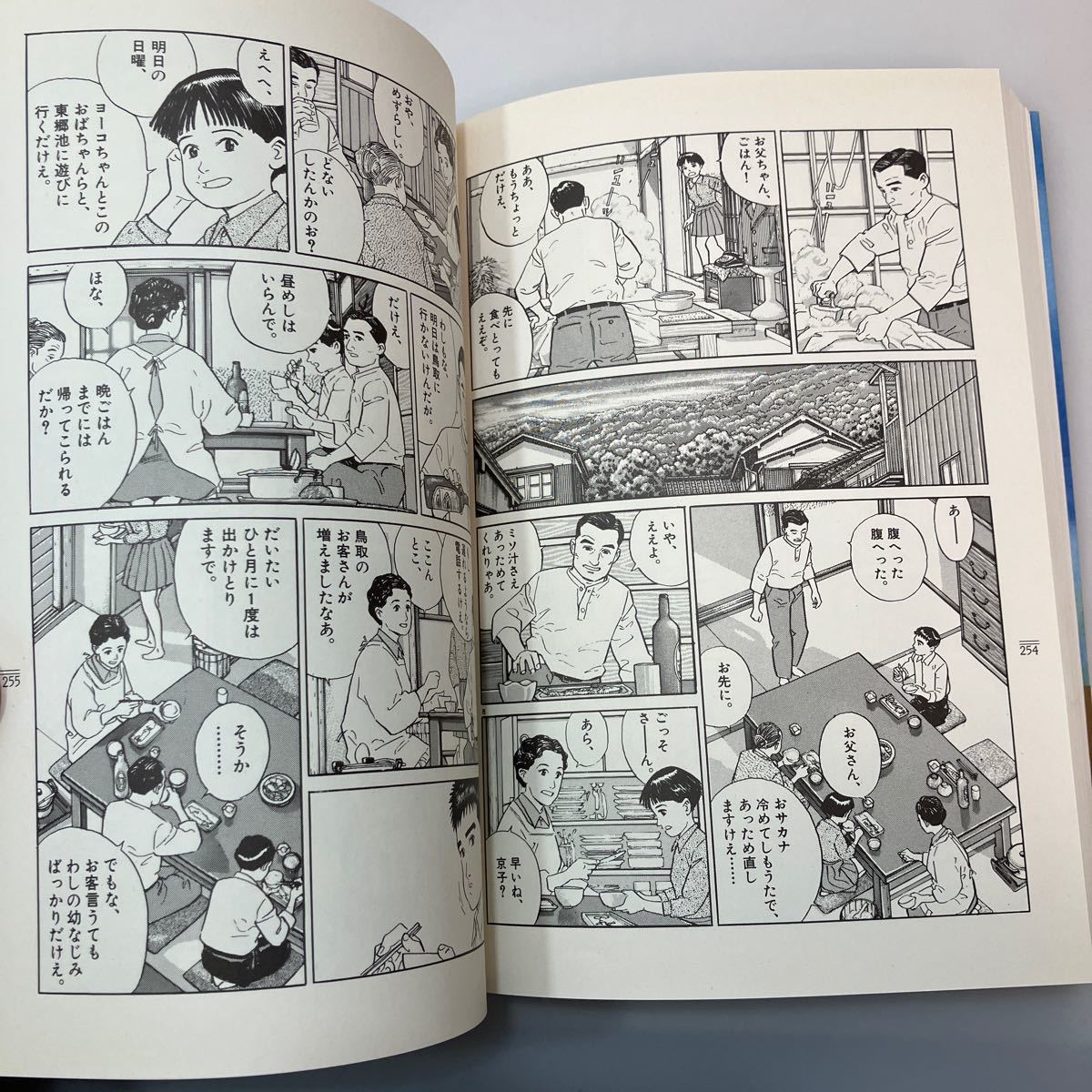 zaa542♪ビッグコミックススペシャル 遥かな町へ 谷口ジロー(著) 小学館（2012/1/20発売）