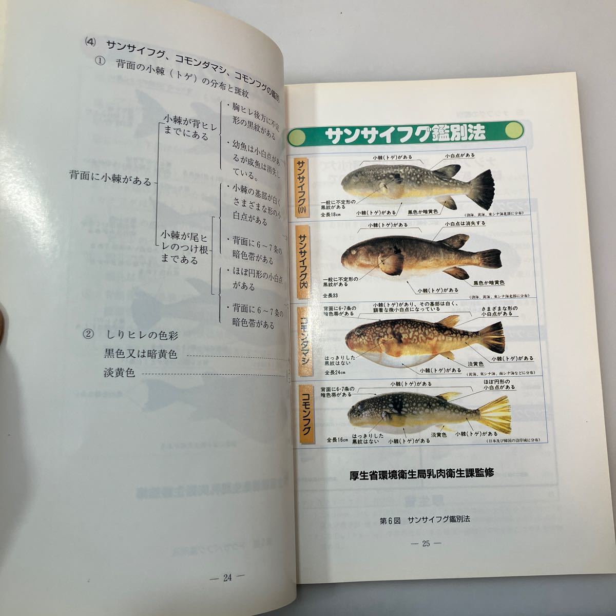 zaa542♪『フグ』調理衛生について　兵庫県食品衛生協会　非売品