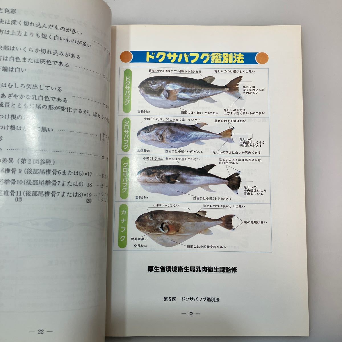 zaa542♪『フグ』調理衛生について　兵庫県食品衛生協会　非売品