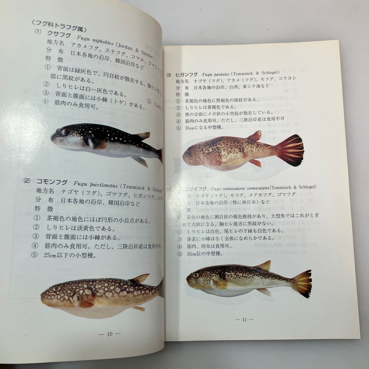 zaa542♪『フグ』調理衛生について　兵庫県食品衛生協会　非売品