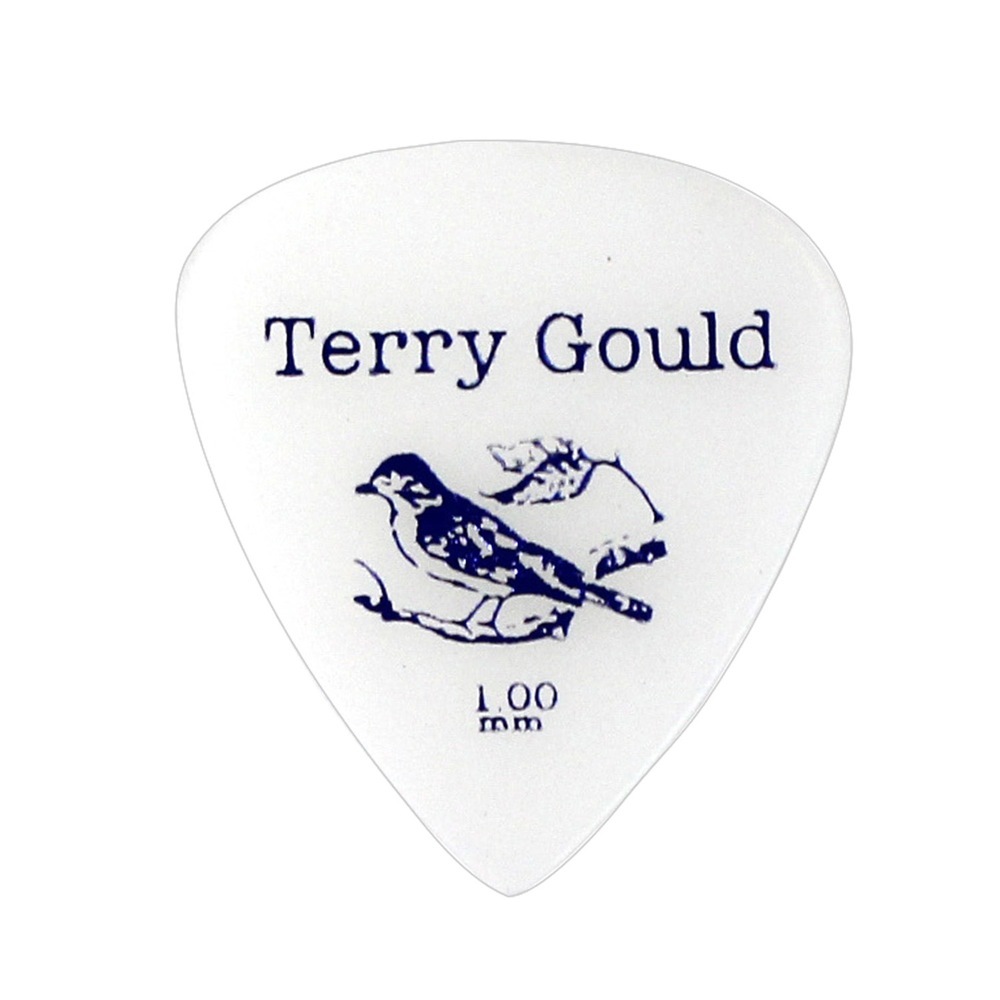 ギターピック 10枚 セット ピックボーイ 1.00mm GP-TG-T/100 Terry Gould PICKBOY_画像1