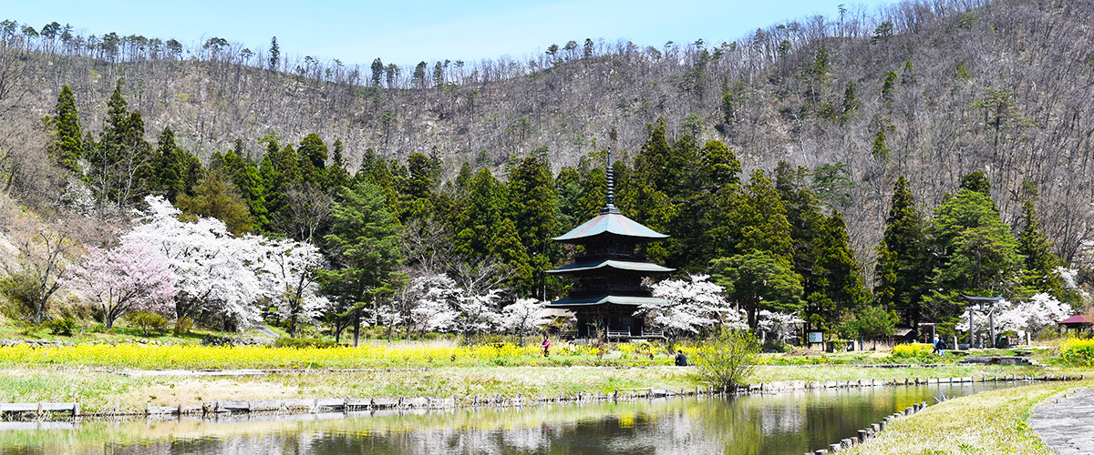 山形県令和5年産　新米　低農薬有機肥料栽培米　はえぬき　２５キロ　無料精米受け賜わります(無洗米可能)_画像3