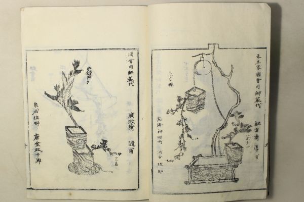 「華道家元未生御流 伝書四方之薫 全」1冊｜花道 活花 生花 挿花 絵入り 木版画 古書 和本 古典籍 z15_画像9