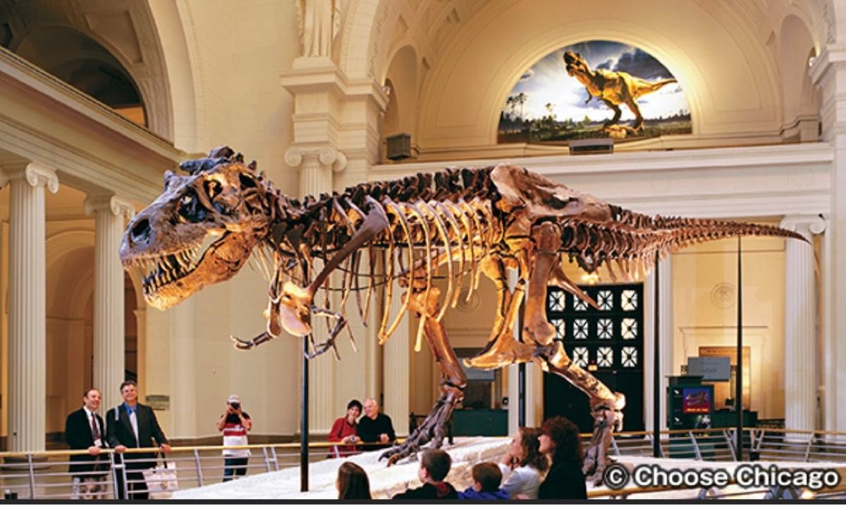 恐竜博2005 シカゴ　フィールド自然史博物館 ティラノサウルス　レックス　スー　トートバッグ