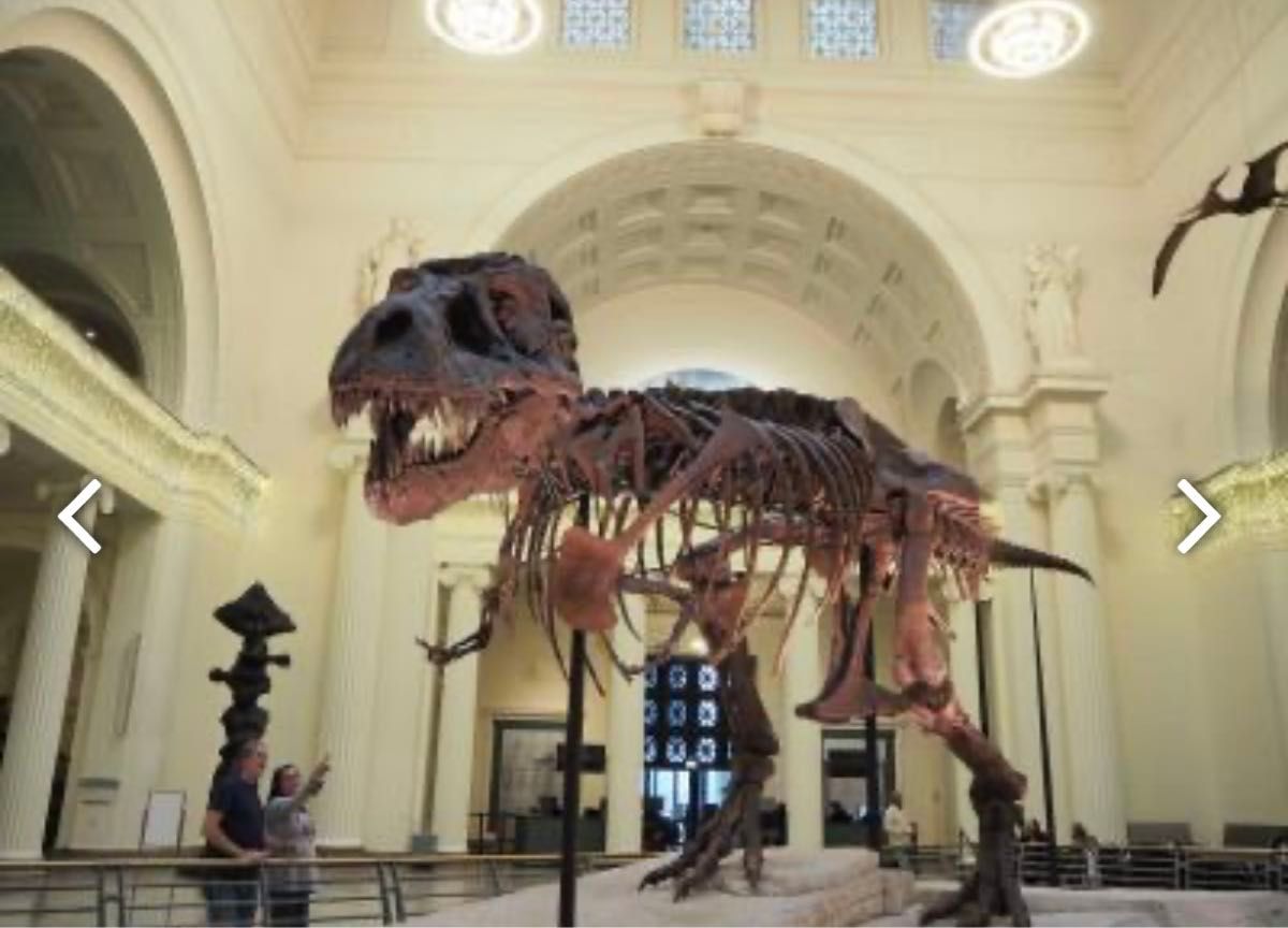 恐竜博2005 シカゴ　フィールド自然史博物館 ティラノサウルス　レックス　スー　トートバッグ