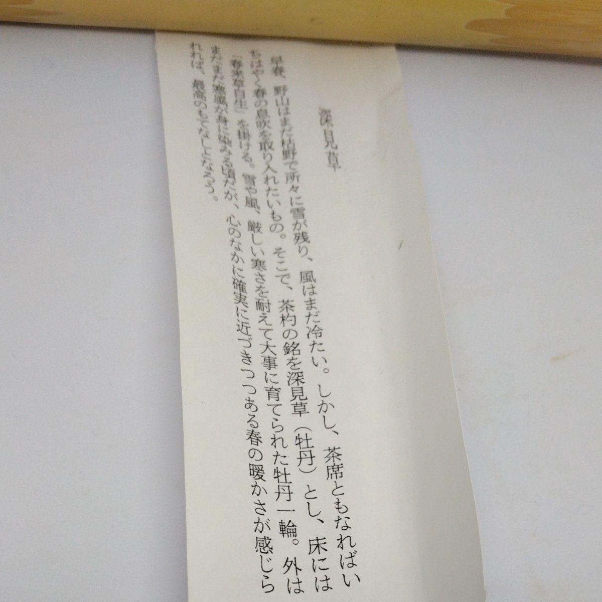 茶杓　矢野一甫書付銘深見草(牡丹)　白竹　共箱 茶道具 美品