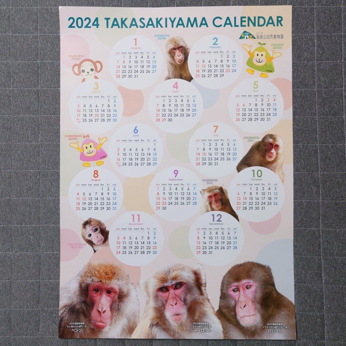 2024 高崎山 カレンダー ポスタータイプ 【筒状発送】 2枚