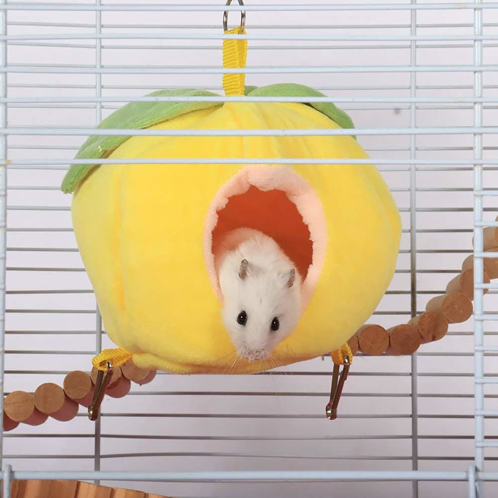  house pet hamster bird squirrel middle bed attaching .. lowering 2way yellow yellow 