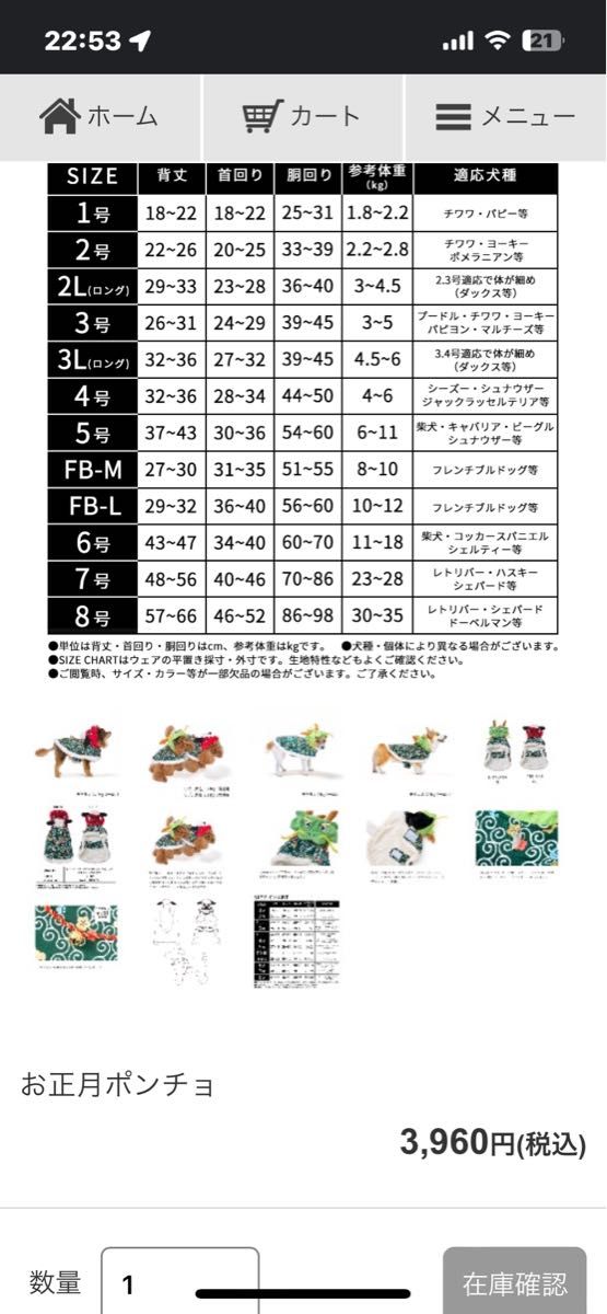 お正月ポンチョ3号