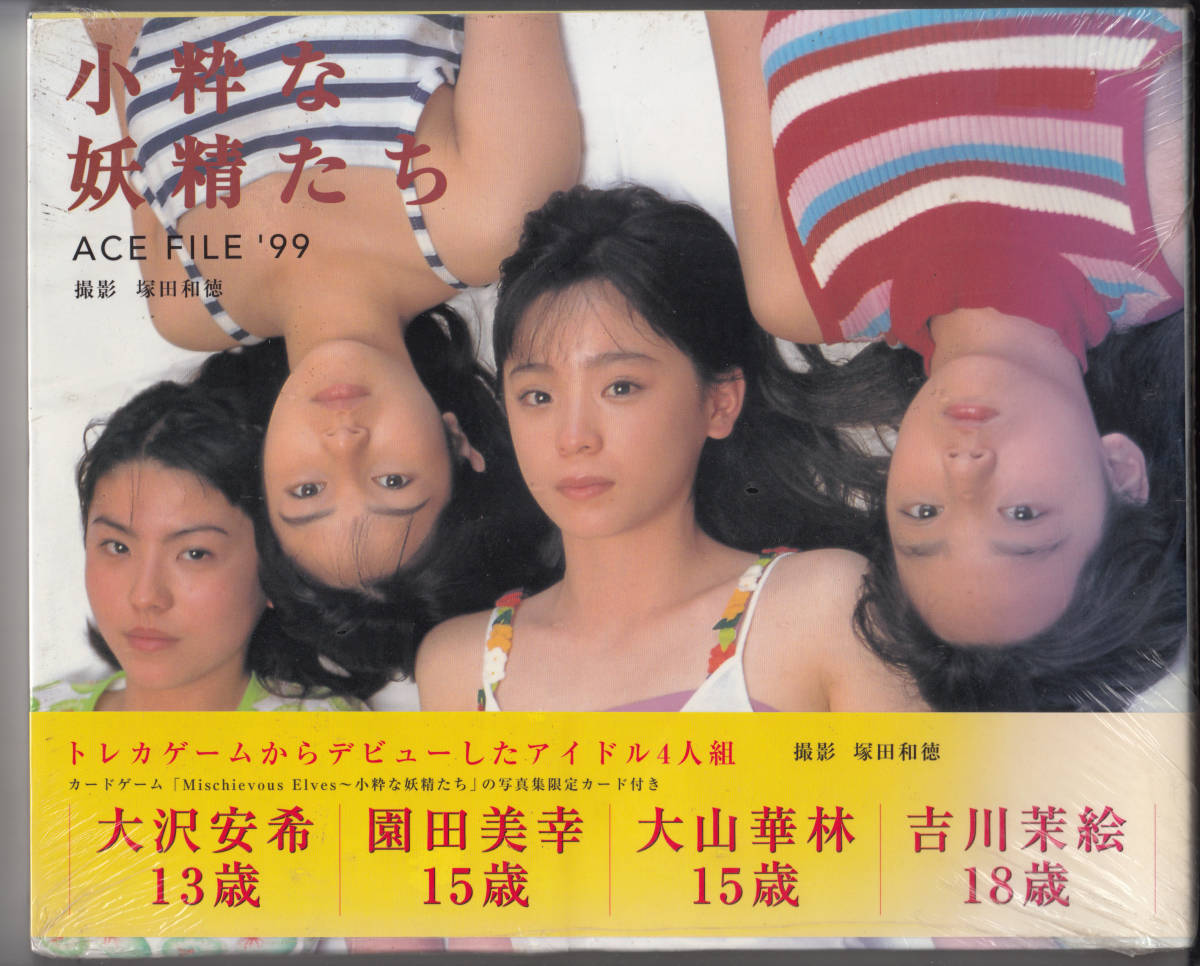 塚田和徳 撮影 女性アイドル写真集 小粋な妖精たち ACE FILE'99 大沢安希 園田美幸 大山華林 吉川茉絵 - 複数被写体 塚田和徳 撮影 女性アイドル写真集 小粋な妖精たち ACE FILE'99 大沢安希 園田美幸 大山華林 吉川茉絵 - 複数被写体