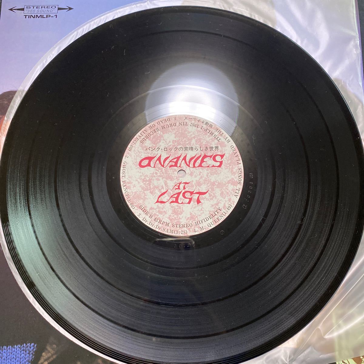 【美品・ステッカー付】 Onanies At Last「パンクロックの素晴らしき世界」THE 原爆オナニーズ TINMLP-1 レコード LP_画像5