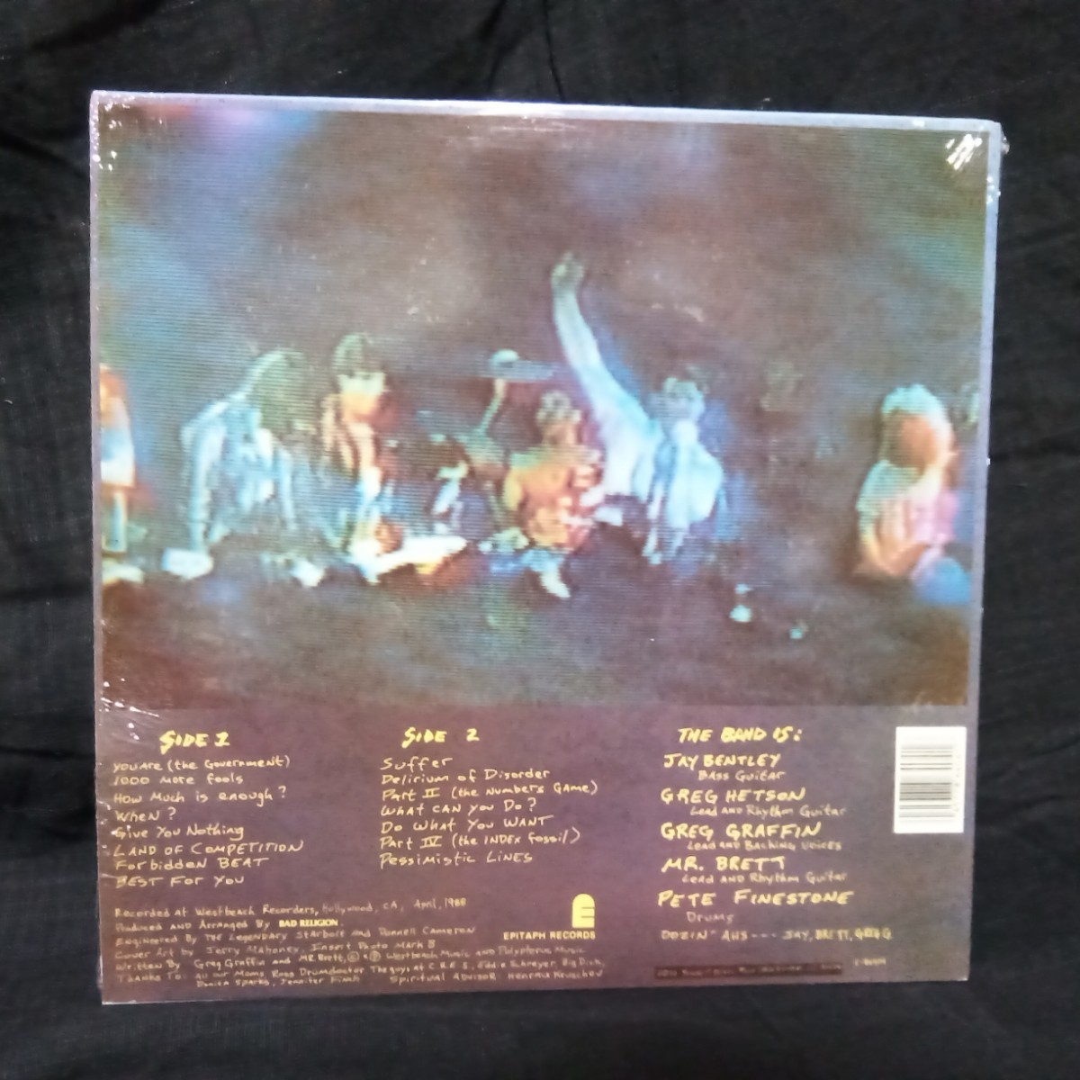 【BR01】 Bad Religion 「 Suffer 」 LPレコード　USパンク　輸入盤_画像2