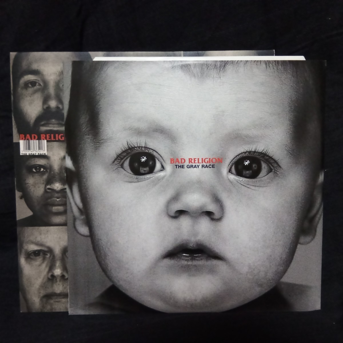 【BR02】 Bad Religion 「 Gray Race 」 LPレコード　USパンク　輸入盤_画像3